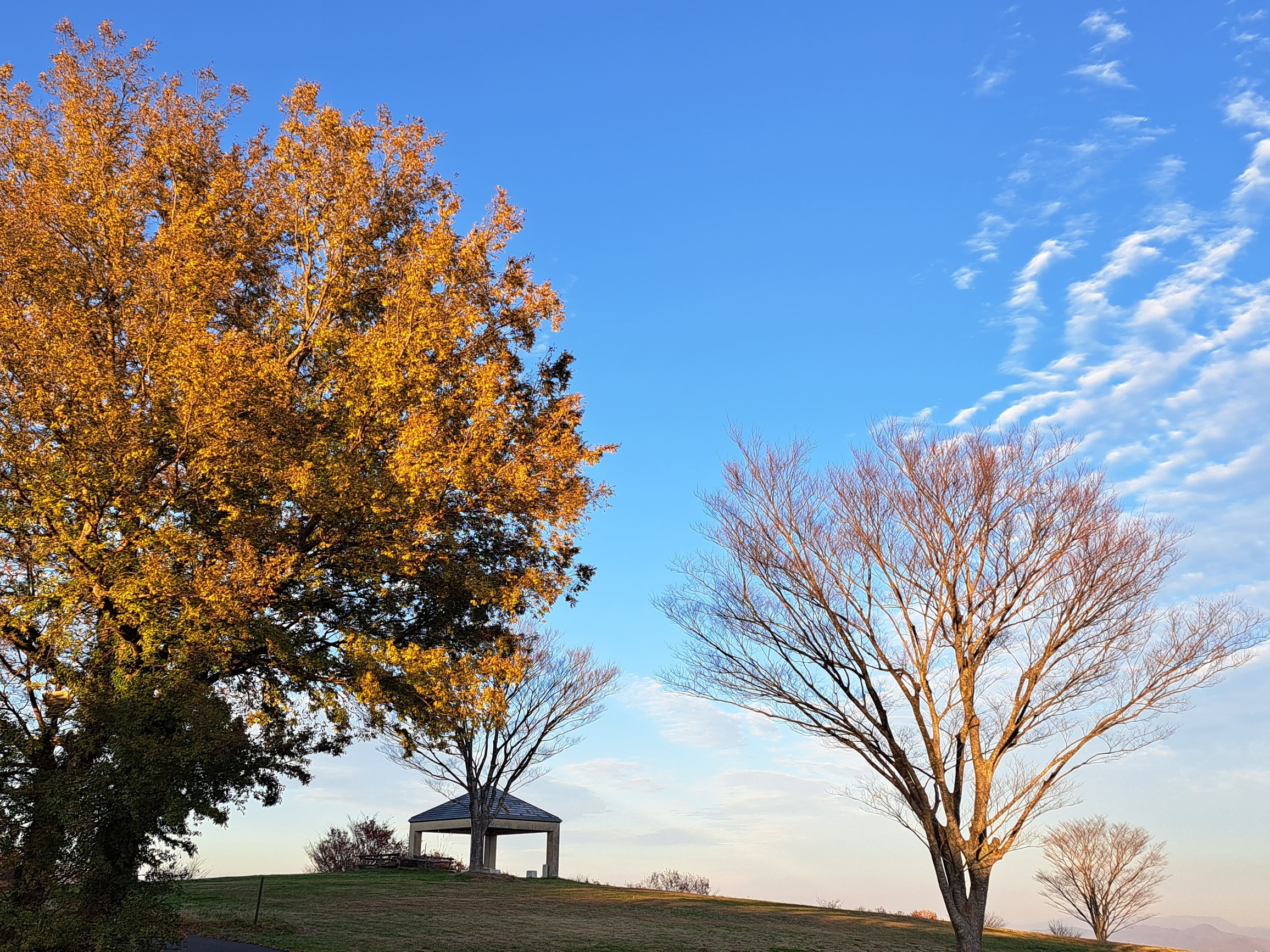 スカイピアあだたら