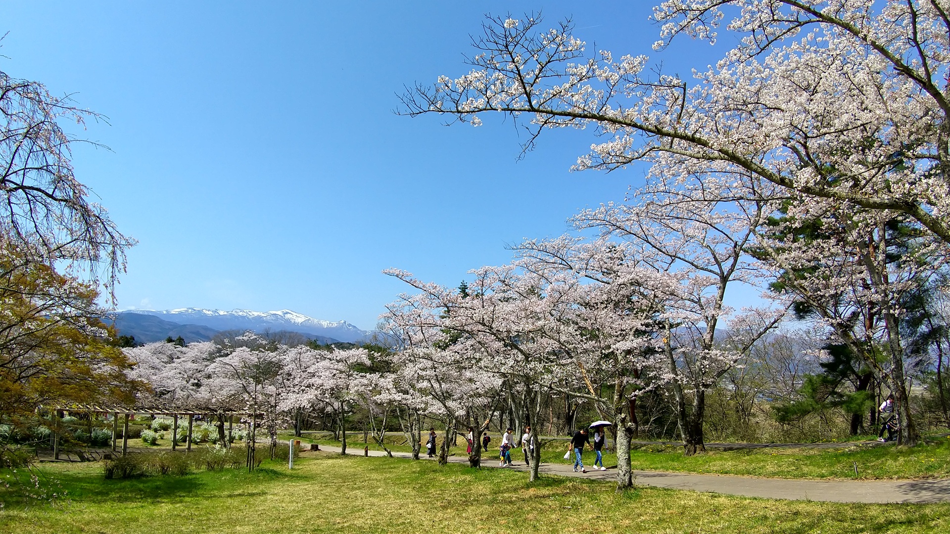 No.102 大森城山公園