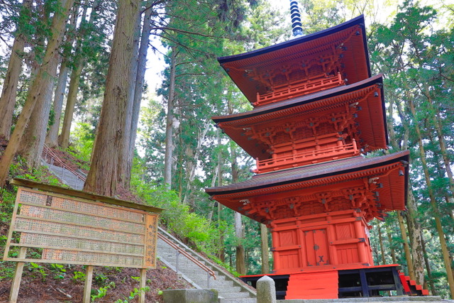 木幡山 三重塔(隠津島神社)