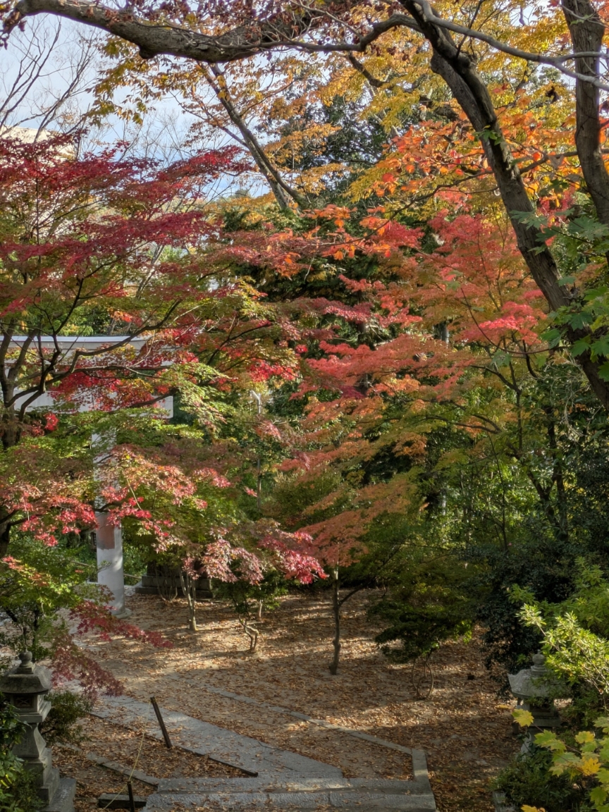 No.96 二本松神社